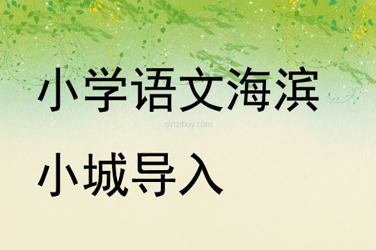 小學語文海濱小城導入
