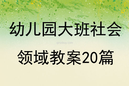 幼兒園大班社會領域教案20篇