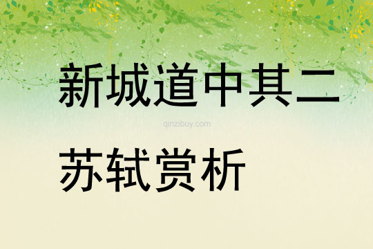 新城道中其二蘇軾賞析