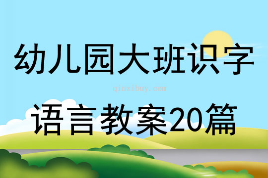 幼兒園大班識字語言教案20篇