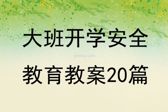 大班開學(xué)安全教育教案20篇