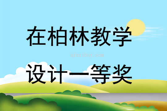 在柏林教學設計一等獎