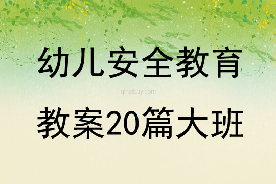 幼兒安全教育教案20篇大班