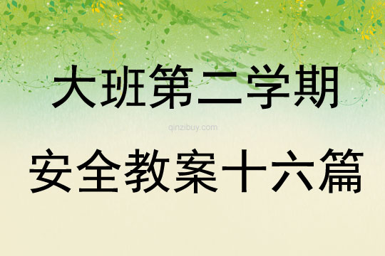 大班第二學期安全教案十六篇