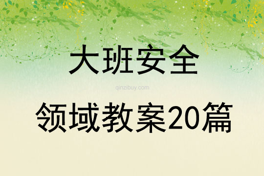 大班安全領域教案20篇