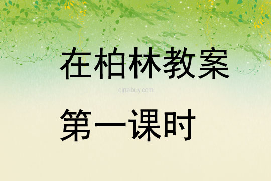在柏林教案第一課時