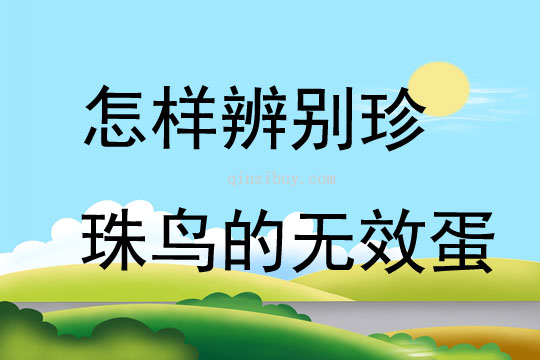 怎樣辨別珍珠鳥的無效蛋