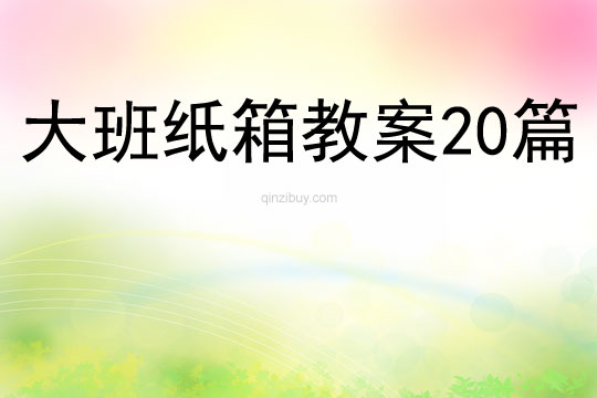 大班紙箱教案20篇