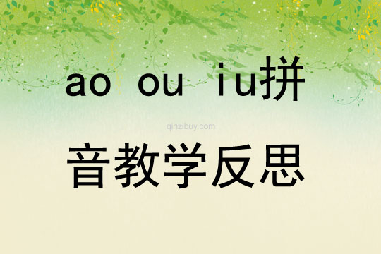 ao ou iu拼音教學反思
