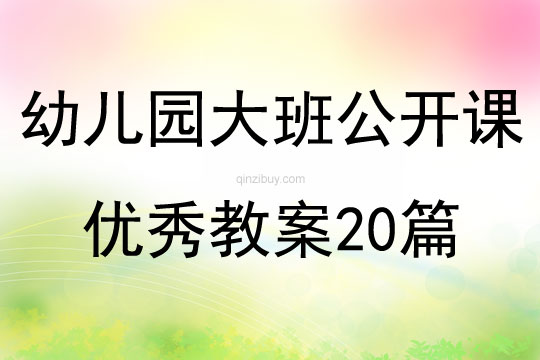 幼兒園大班公開課優秀教案20篇
