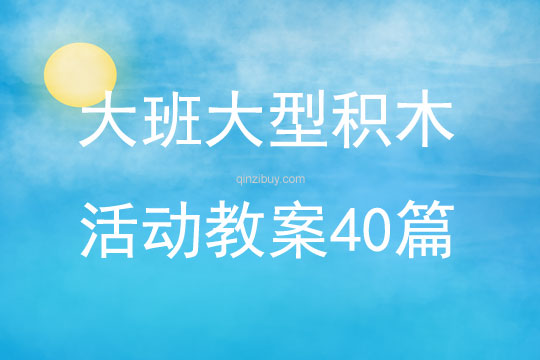 大班大型積木活動教案40篇