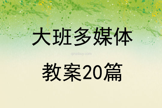 大班多媒體教案20篇