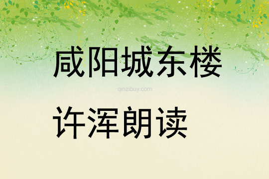 咸陽城東樓許渾朗讀