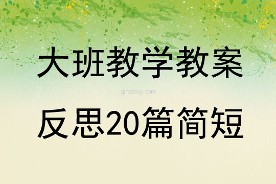 大班教學(xué)教案反思20篇簡短