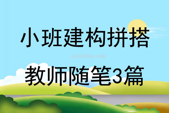 小班建構拼搭教師隨筆3篇