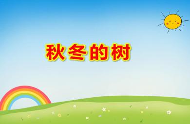 中班科學(xué)秋冬的樹(shù)PPT課件教案