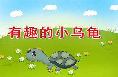 有趣的小烏龜PPT課件教案圖片
