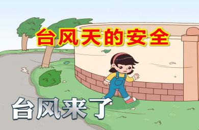 臺風天的安全PPT課件教案圖片