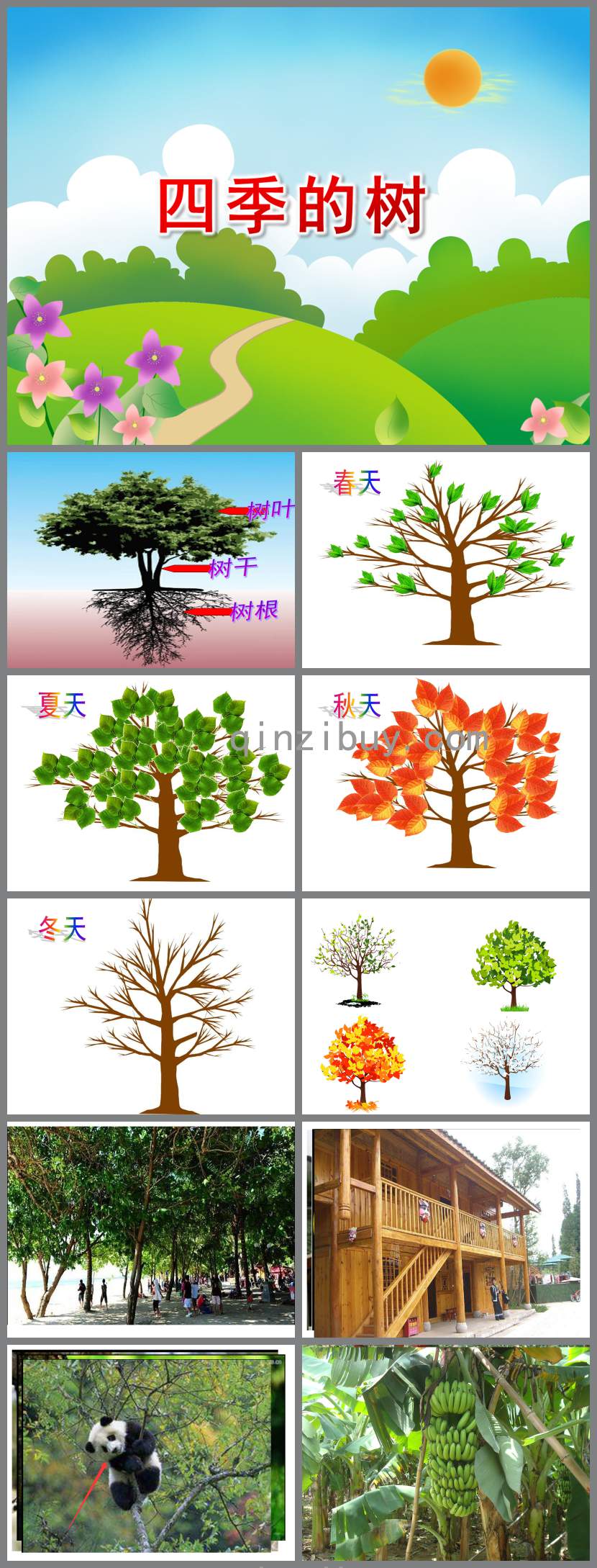 四季的樹PPT課件教案圖片