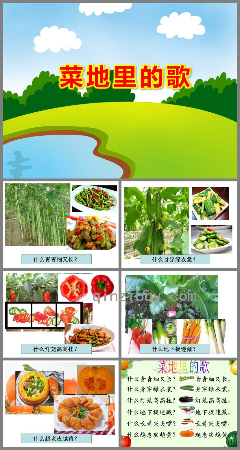 菜地里的歌PPT課件教案圖片