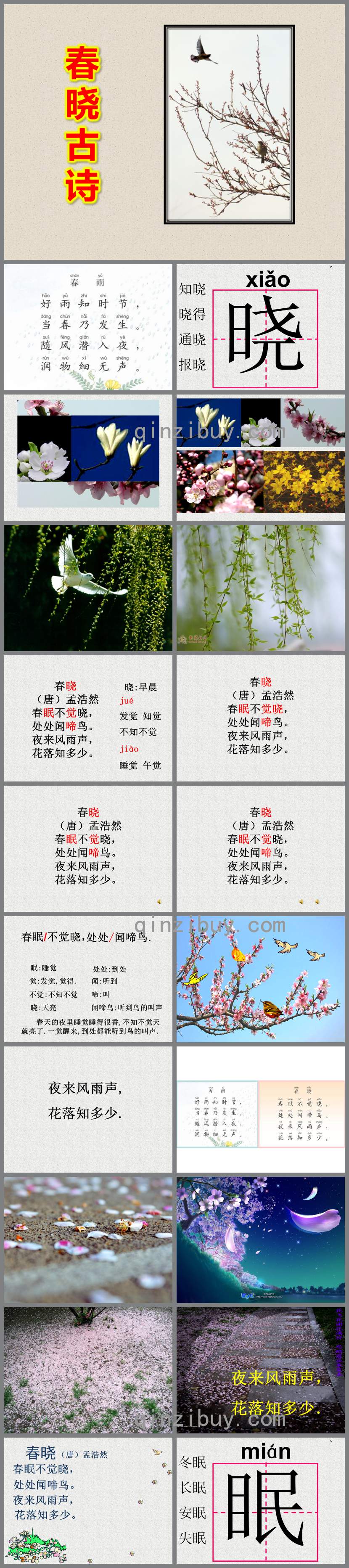 幼兒園春曉古詩PPT課件教案圖片