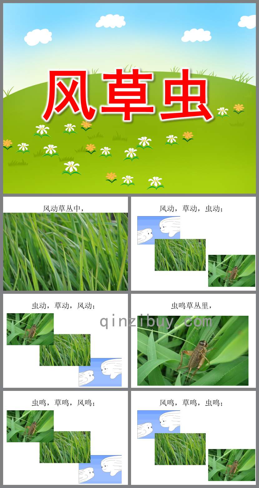 風草蟲PPT課件教案圖片