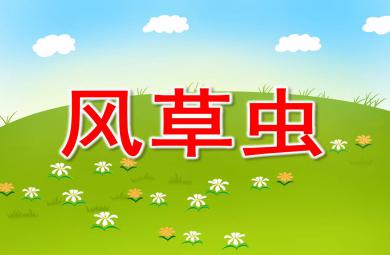 風草蟲PPT課件教案圖片