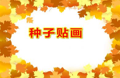 大班教學(xué)課件種子貼畫PPT課件教案