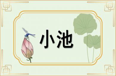 幼兒園古詩小池PPT課件教案圖片