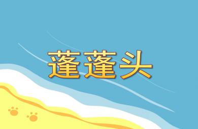 蓬蓬頭PPT課件教案圖片