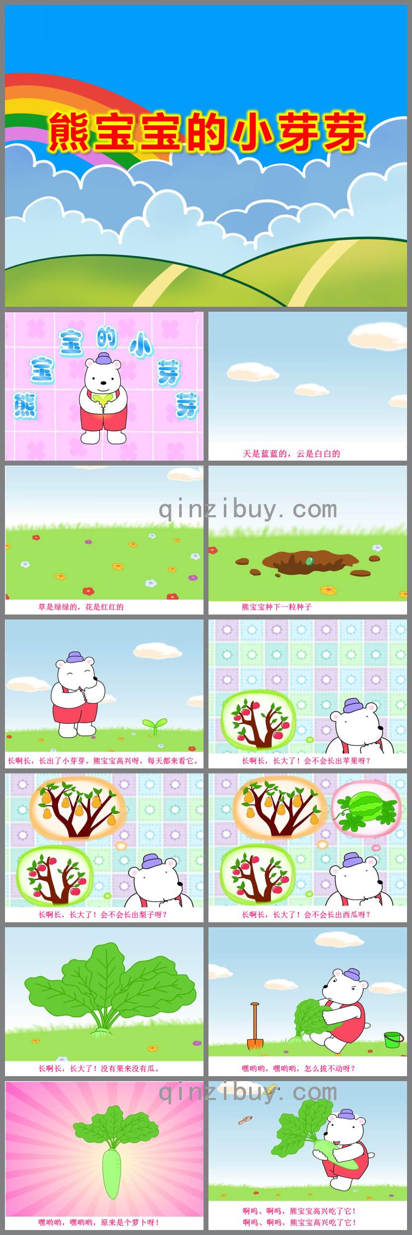 熊寶寶的小芽芽PPT課件教案圖片