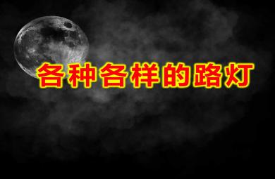 中班科學(xué)各種各樣的路燈PPT課件教案