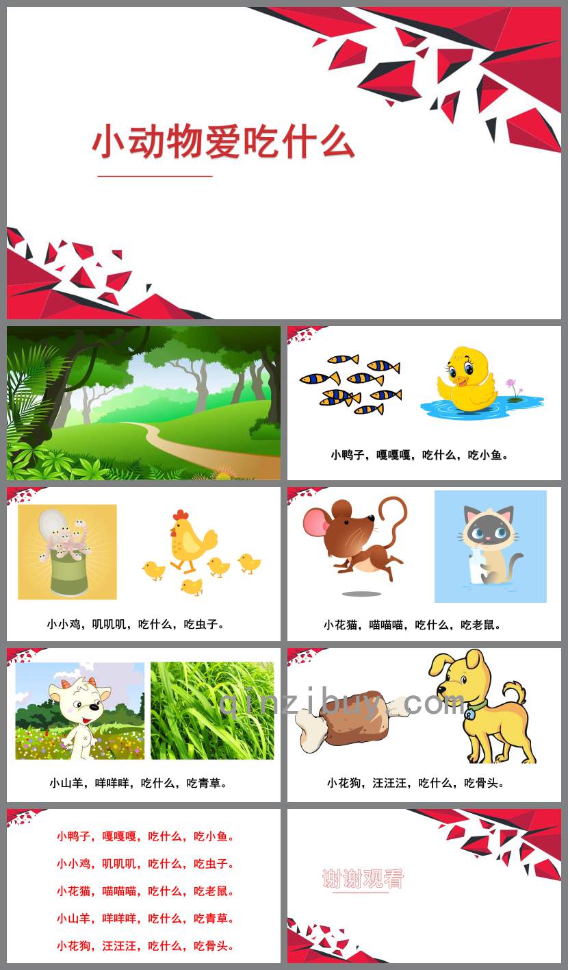 小動(dòng)物愛吃什么PPT課件教案圖片