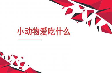 小動(dòng)物愛(ài)吃什么PPT課件教案圖片