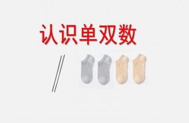大班數(shù)學(xué)課件認(rèn)識(shí)單雙數(shù)PPT課件教案