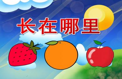 托班科學(xué)課件長(zhǎng)在哪里PPT課件教案