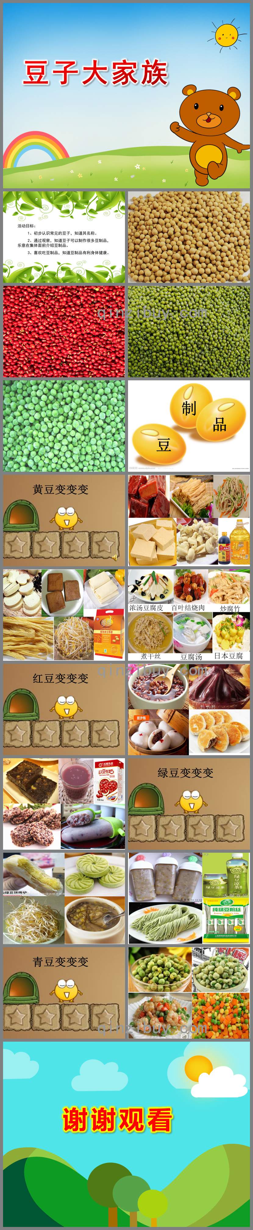 中班主題豆子大家族PPT課件教案