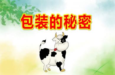 大班科學(xué)包裝的秘密PPT課件教案