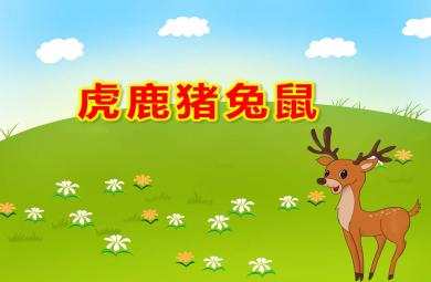 幼兒園虎鹿豬兔鼠公開課PPT課件教案