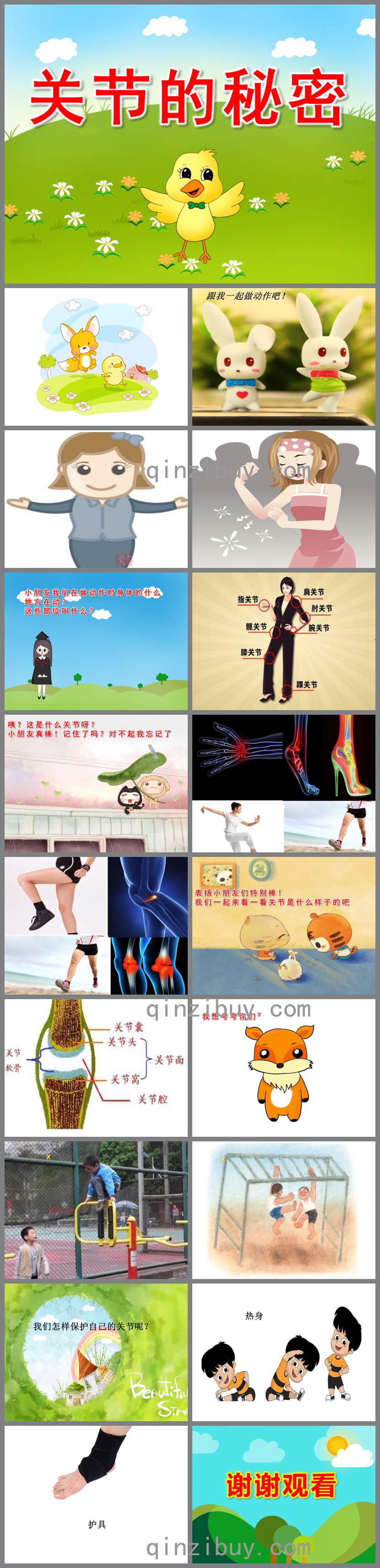 大班關節的秘密PPT課件教案