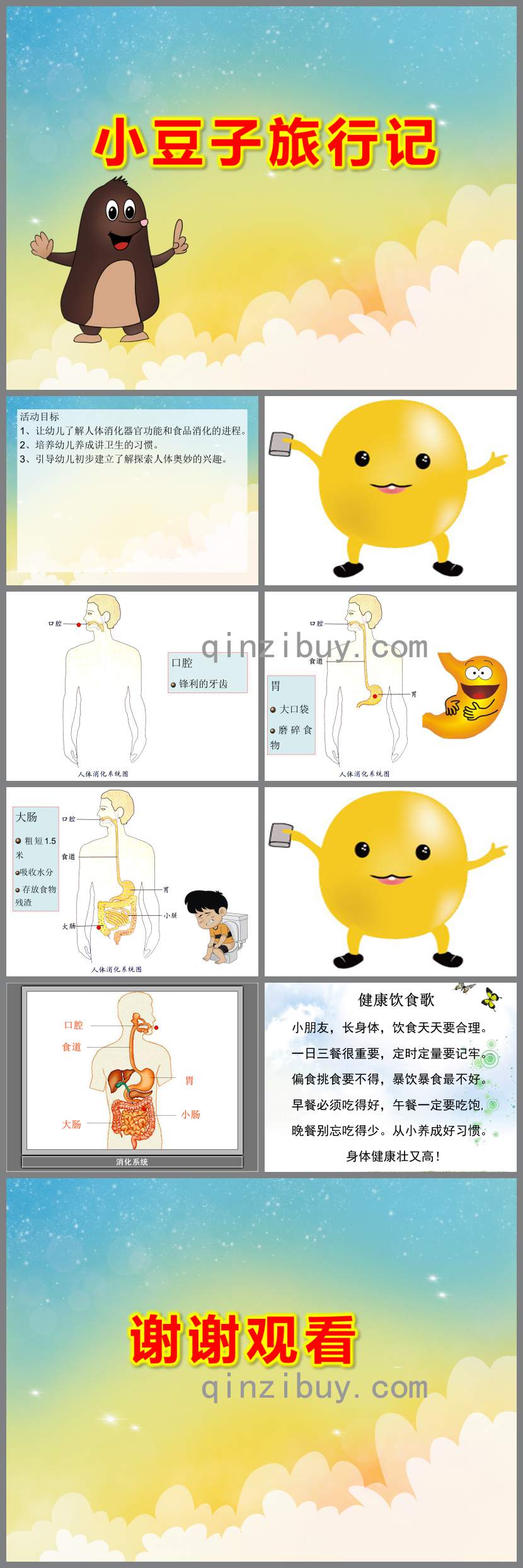 大班健康課件小豆子旅行記PPT課件教案
