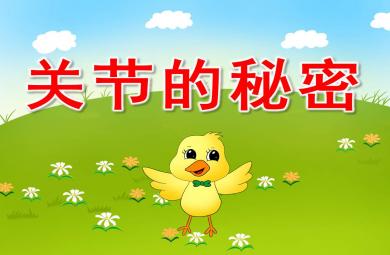大班關節的秘密PPT課件教案