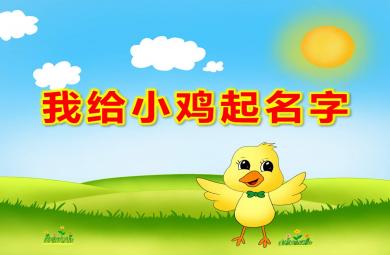 我給小雞起名字PPT課件教案
