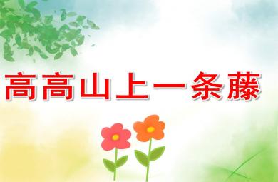 高高山上一條藤PPT課件教案