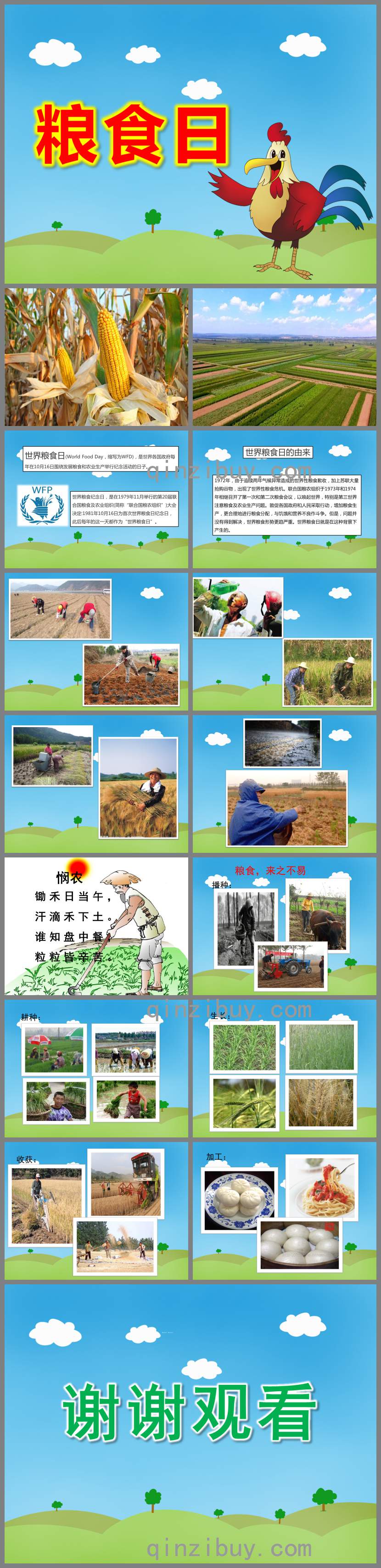 大班糧食日ppt課件教案