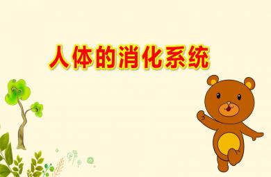 幼兒園人體的消化系統PPT課件教案
