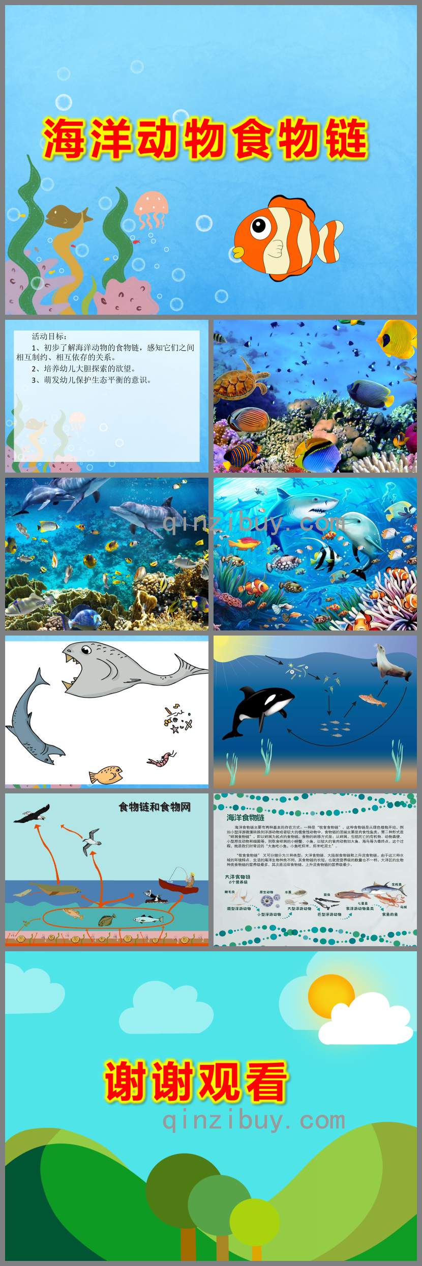 大班科學課件海洋動物食物鏈PPT課件教案