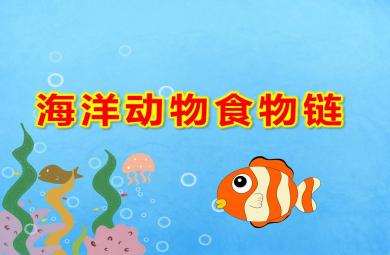 大班科學課件海洋動物食物鏈PPT課件教案