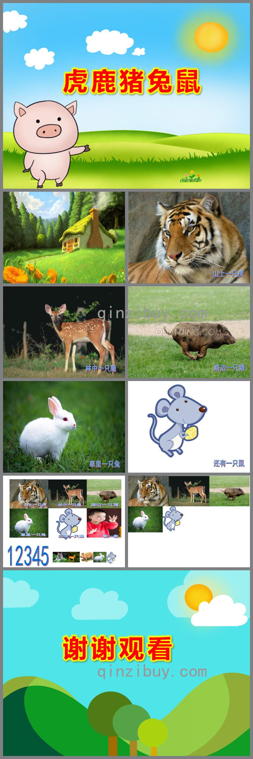 虎鹿豬兔鼠PPT課件教案