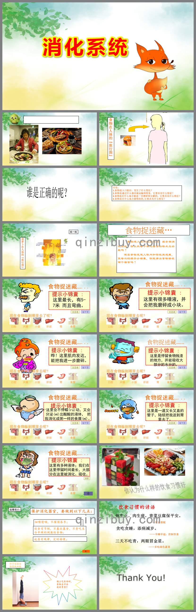 幼兒園消化系統PPT課件教案
